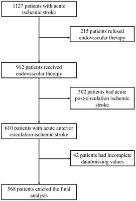 Associations between NIHSS sub-item scores and prognosis and intracranial hemorrhage after endovascular therapy for acute anterior circulation ischemic stroke